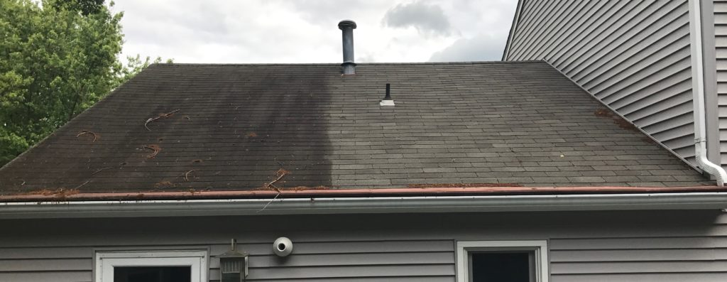 Monmouth County Roof Cleaning